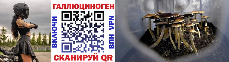 Галлюциногенные грибы Psilocybine cubensis  наркота  кракен вход  Рудня 